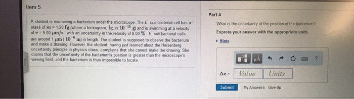 Question: Ltem 5 Part A A student is examining a bacterium under the microscope. The E. coli bacterial cell...
