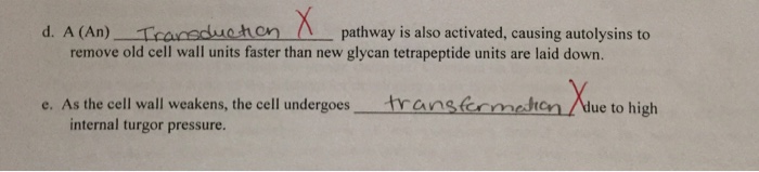 Question: Whatare the correct answers there is also a word bank