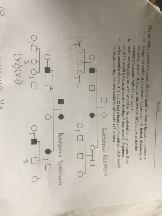 Question: The following are two pedigrees. (Slightly modified from a discussion problem.)  a. Assign the mo...