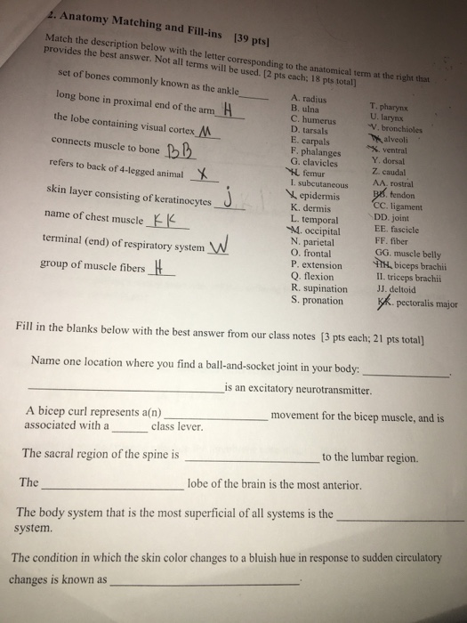 Anatomy And Physiology Archive | September 14, 2017 | Chegg.com