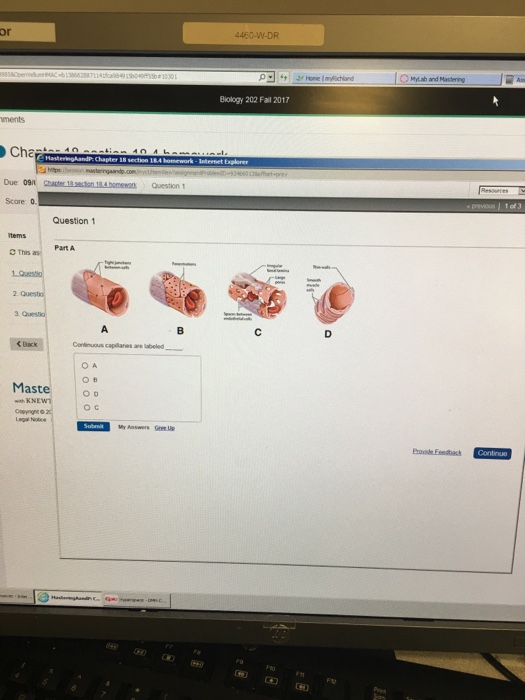 Question: 4460-W-DR or Mylab and Mastering Biology 202 Fall 2017 ments Score 0 Question 1 Part A C This as ...