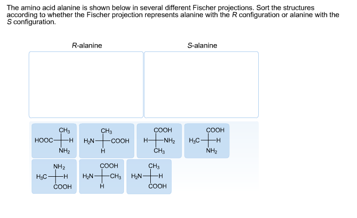 stereochemistry of amino acids pdf