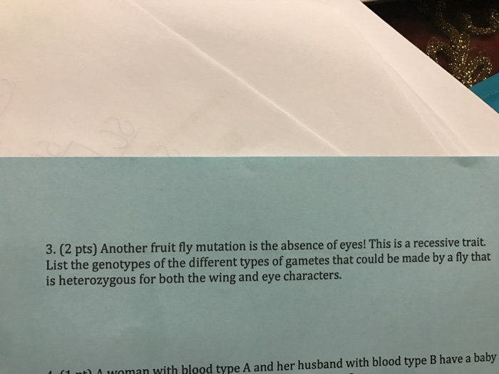 Question: 3. (2 pts) Another fruit fly mutation is the absence of eyes! This i a recessive trait. List the ...