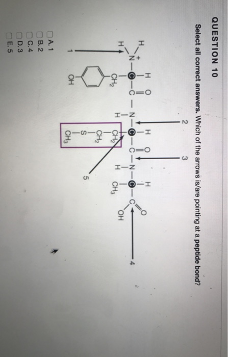 Question: QUESTION 12 1 points Save Answer Select all correct answers. Hydrogen bonds that form between oxy...