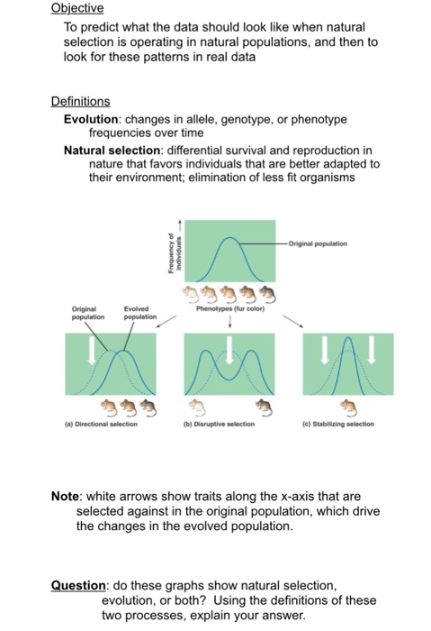 Question: Objective To predict what the data should look like when natural selection is operating in natura...