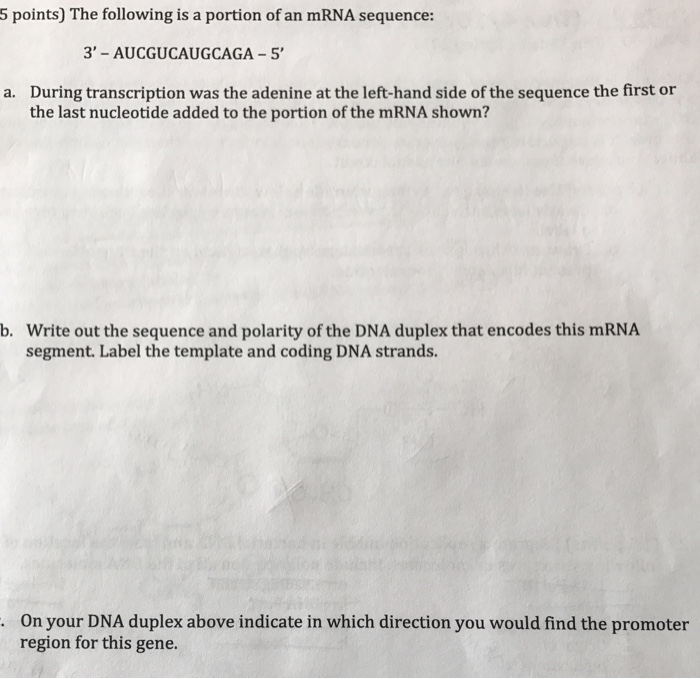 Question: The following is a portion of an mRNA sequence:  3' - AUCGUCAUGCAGA - 5'  a. During transcription...