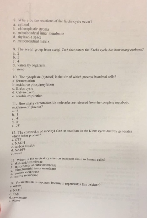 Question: 8. Where do the reactions of the Krebs cycle occur? a. cytosol b. chloroplastic stroma c. mitocho...