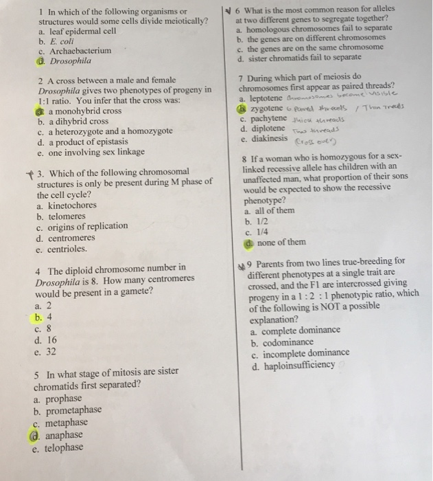 Question: In which of the following organisms or structures would some cells divide meiotically?  a. leaf e...