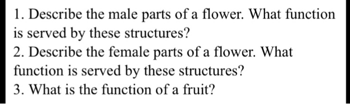 Term paper sample pdf image