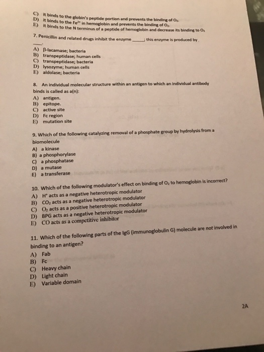 Question: 1. During muscle contraction, hydrolysis of ATP results in A) a change in the conformation of act...