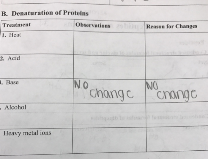 Solved B. Denaturation Of Proteins Observations Treatment...