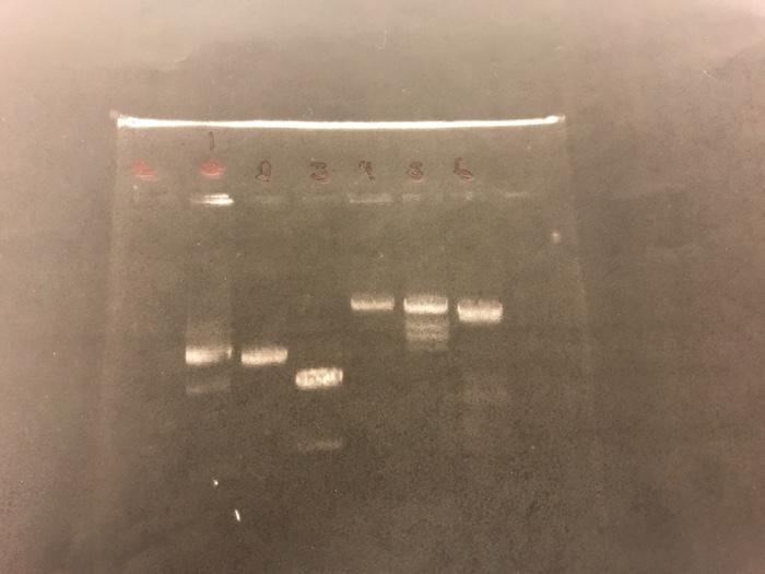 Question: Please help!! Thank you!