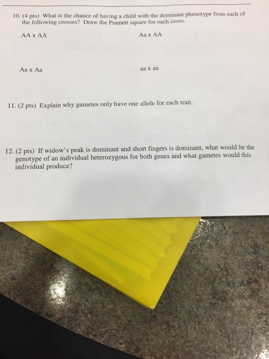 Question: 10. (4 pts) What is the chance of having a child with the dominant phenotype from each of the fol...