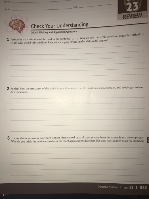 Importance of critical thinking image