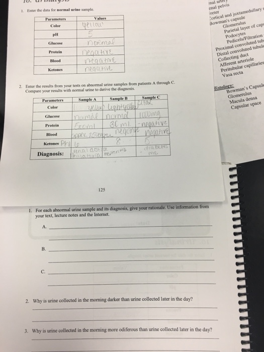 Question: Enter the data for normal urine sample.  Enter the results from your tests on abnormal urine samp...