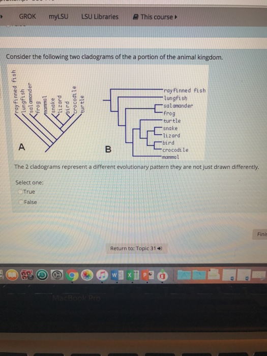Question: Consider the following two cladograms of the a portion of the animal kingdom.  The 2 cladograms r...