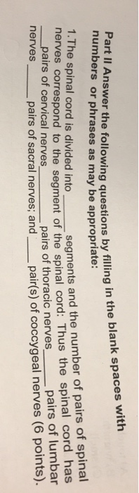 Question: The spinal cord is divided into _____ segments and the number of pairs of spinal nerves correspon...