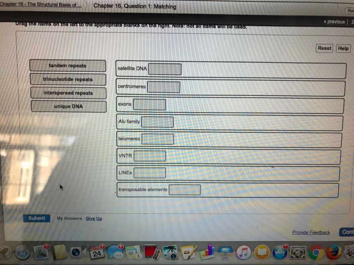 Question: Basis ofChapter 16, Question 1: Matching Res < previous2 Roset Help tandem repeats trinucleotide ...