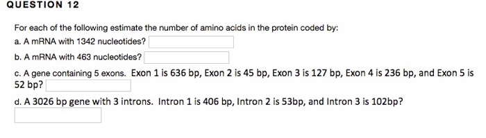 Question: For each of the following estimate the number of amino acids in the protein coded by:  a. A mRNA ...