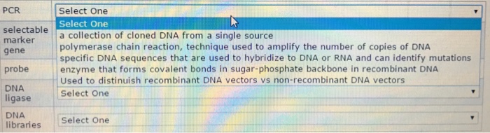 Question: Recombinant DNA Select One Select one Vector progeny produced after DNA recombination joining of ...