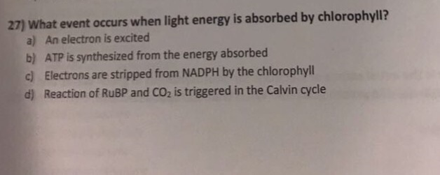 Question: 27) What event occurs when light energy is absorbed by chlorophyll? a) An electron is excited b) ...