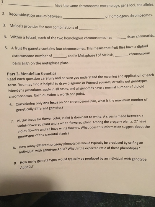 Question: _____ have the same chromosome morphology, gene loci, and alleles.  Recombination occurs between ...
