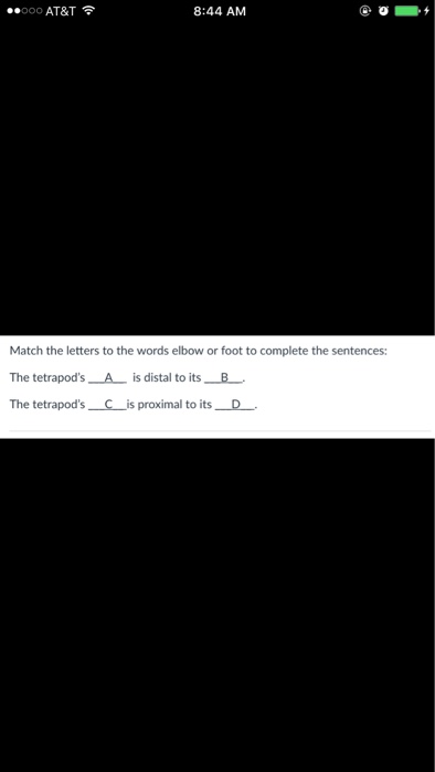 Question: Match the letters to the words elbow or foot to complete the sentences:  The tetrapod's A is dist...