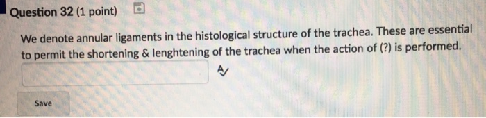 Question: Question 32 (1 point) d We denote annular ligaments in the histological structure of the trachea....