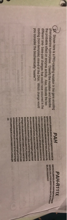 Question: Shown here is a PKU-causing mutation in the gene encoding phenylalanine hydroxylase. Classify the...