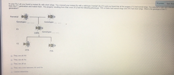 Question: Mrs. And Mr. Smith both have widow's peaks (dominant). Their first child also has a widow's peak,...