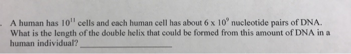 Question: 3. Why are plasmids beneficial to bacteria? 4. Why are plasmids useful to molecular biologists?