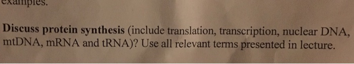 Question: Exarfiples. Discuss protein synthesis (include translation, transcription, nuclear DNA, mtDNA, mR...