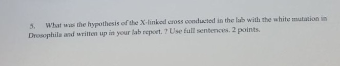 Question: In lab experiment we crossed a red eyed male with a white eyedmale Drosophila fly