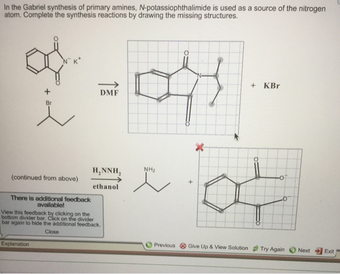 Gabriel malonic ester synthesis image