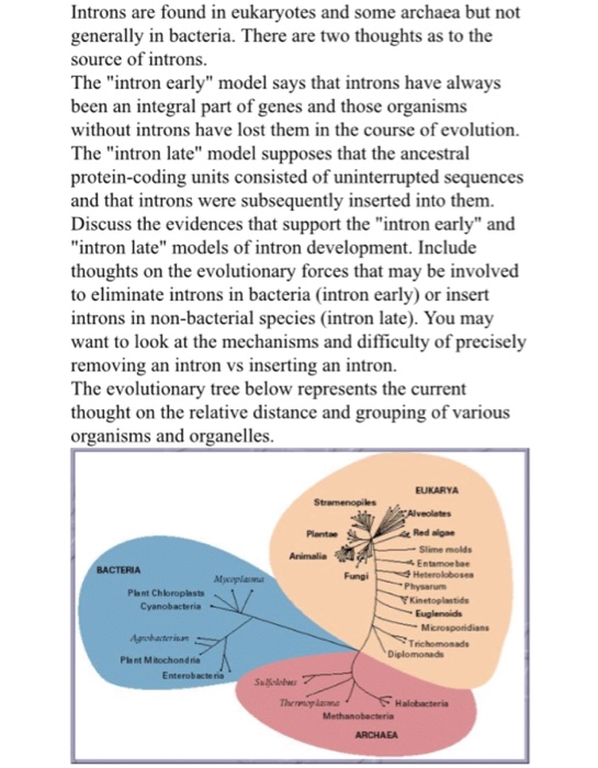 Question: Introns are found in eukaryotes and some archaea but not generally in bacteria. There are two tho...
