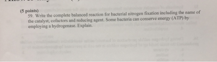 Question: (5 points) 59. Write the complete balanced reaction for bacterial nitrogen fixation including the...