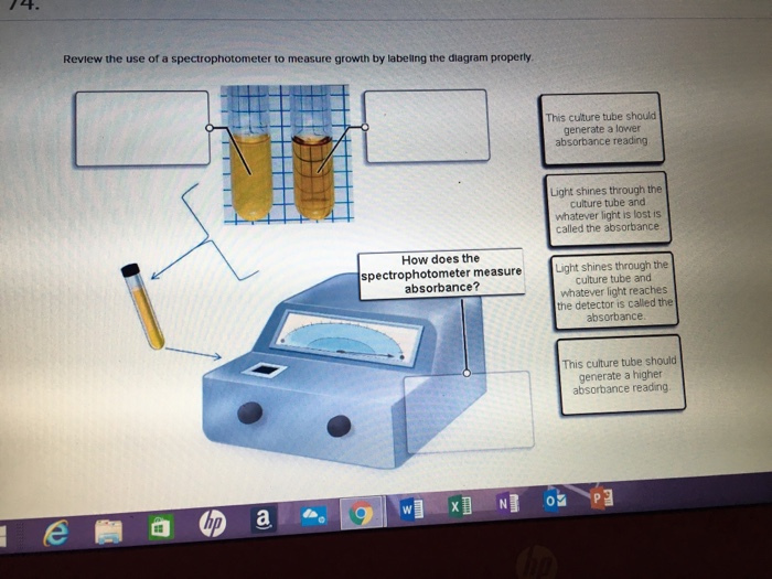 Review The Use Of A Spectrophotometer To Measure G...