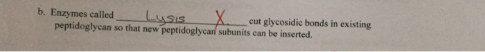 Question: Whatare the correct answers there is also a word bank