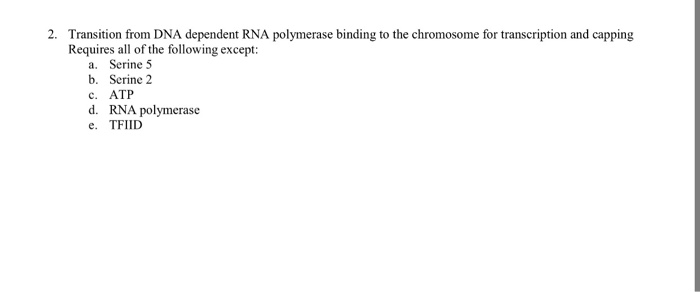 Question: Transition from DNA dependent RNA polymerase binding to the chromosome for transcription and capp...