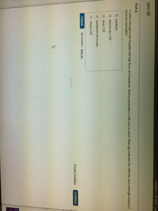 None provided67 essay 08 image