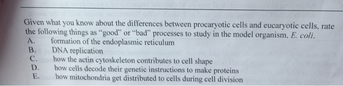 Question: Given what you know about the differences between procaryotic cells and eucaryotic cells, rate th...