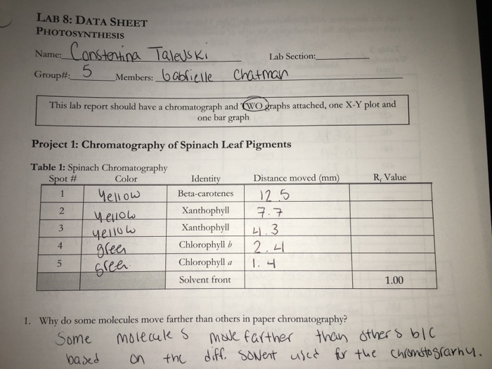 Spinach Lab Report