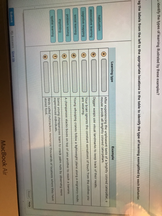 Question: The MacBook Air