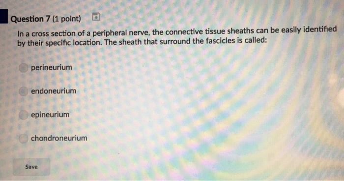 Question: Question 7 (1 point) In a cross section of a peripheral nerve, the connective tissue sheaths can ...