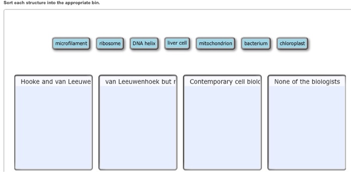 Question: Sort each structure into the appropriate bin.