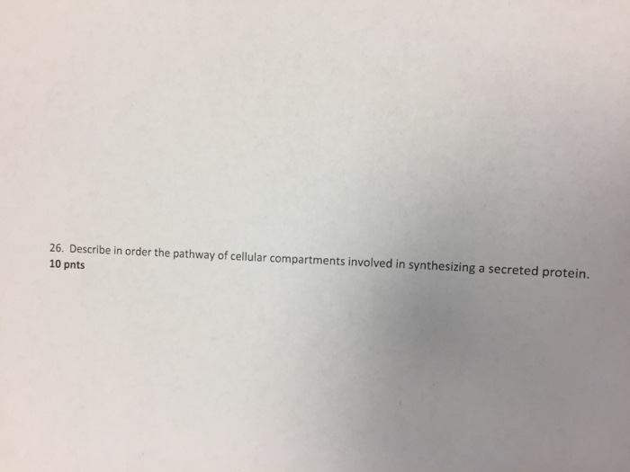 Question: Describe in order the pathway of cellular compartments involved in synthesizing a secreted protein.