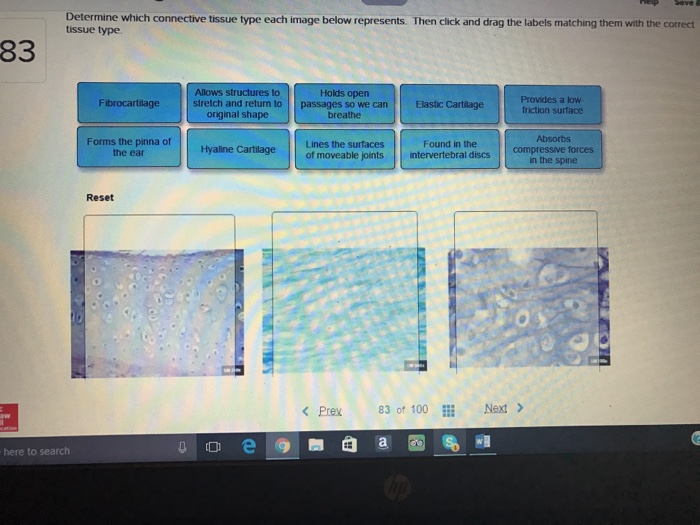 Biology Archive May 16, 2017