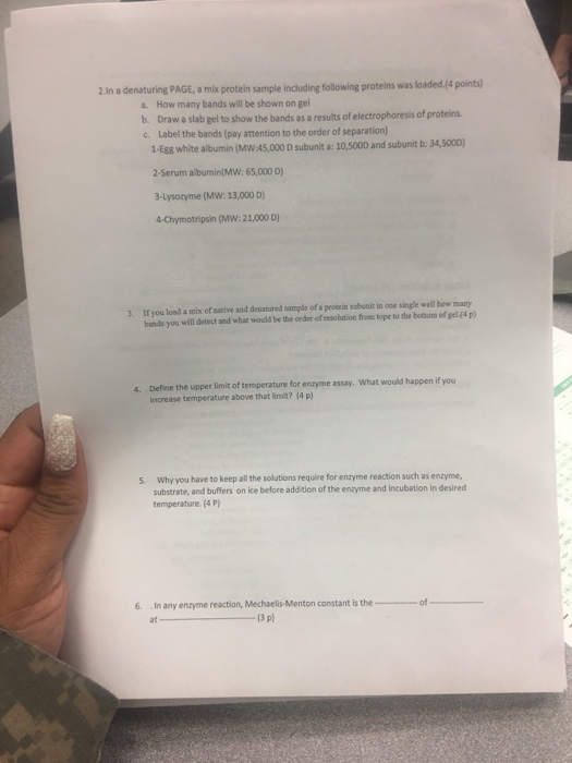 Question: In a denaturing PAGE, a mix protein sample including following proteins was loaded  a. How many b...