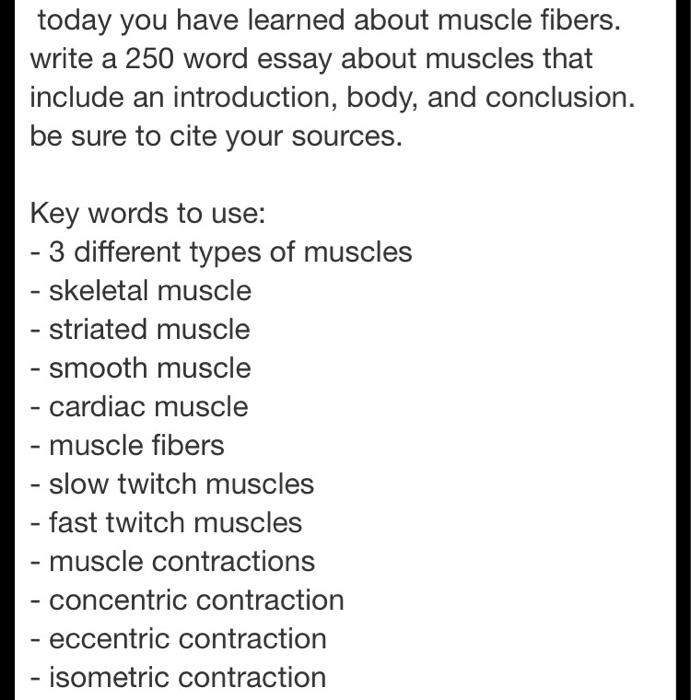 Muscle Essays