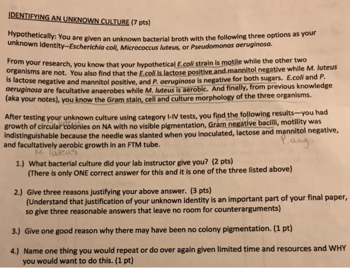 Question: IDENTIFYING AN UNKNOWN CULTURE (7 pts) Hypothetically: You are unknown identity-Escherichia coli,...